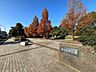 周辺：猿江恩賜公園 510m