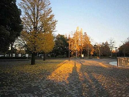  木場公園 1000m