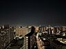その他：夜景