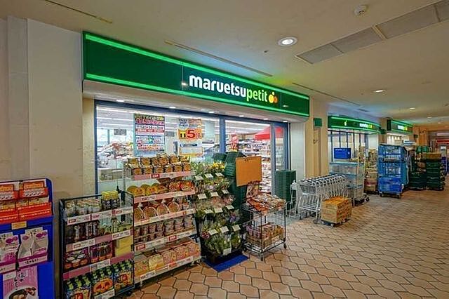 周辺 パークタワー晴海 48階/-