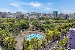 アデニウムコート木場公園