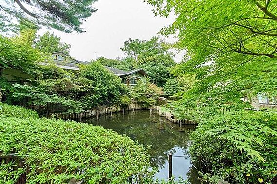 深沢の杜緑地 ...