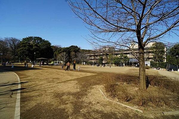 周辺を拡大表示
