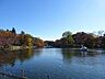 周辺：井の頭恩賜公園 500m