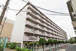 原木キャピタルコータス