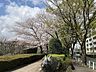 周辺： 桜堤通り 10m