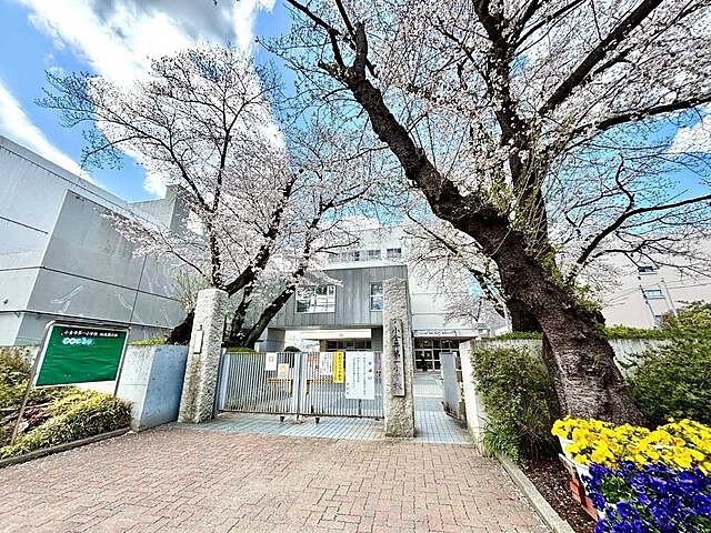 周辺 プラウドタワー武蔵小金井クロスウエスト 13階/-