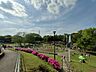 周辺：岸根公園 910m