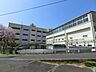 周辺：柏尾小学校 1240m