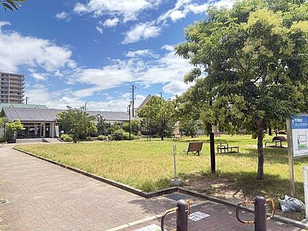 甲子園公園 50m