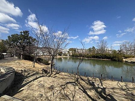 樋之池公園 230m