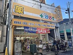 どらっぐぱぱす新江戸川橋店 90m