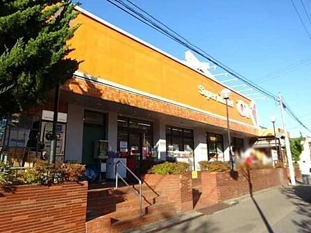 オーケーストア鷺ノ宮店 750m