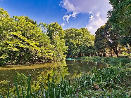 和田堀公園 800m