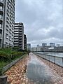 運河わきの通路