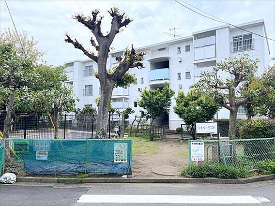 中海岸一号緑地...