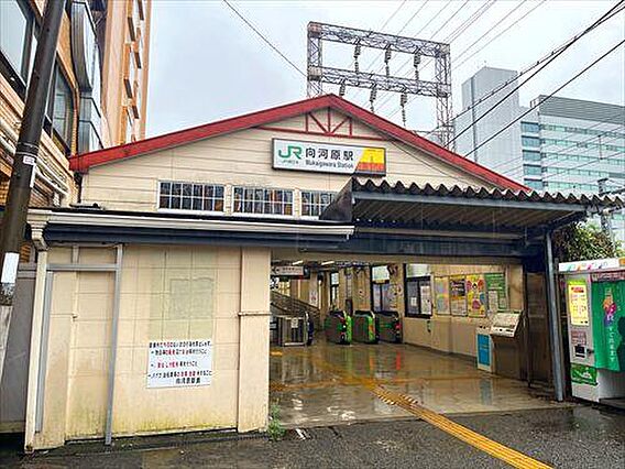 南武線 向河原...