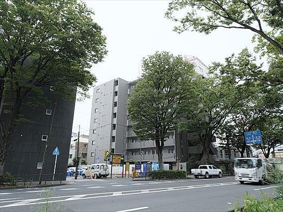 前面道路（撮影...