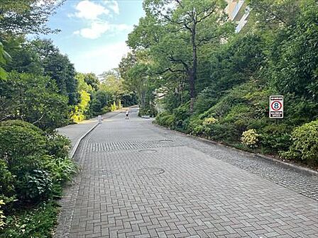 敷地内通路