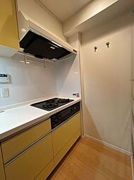 ザ・タワー&パークス田園都市溝の口 3LDKの写真