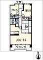 キャステージ水野5階8.0万円