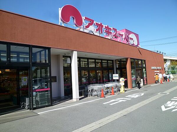 画像18:【スーパー】アオキスーパー 豊明店まで690ｍ