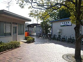 アスフォート細川　Ａ 203 ｜ 愛知県岡崎市細川町字岩御堂33番地1（賃貸アパート1LDK・2階・46.54㎡） その21