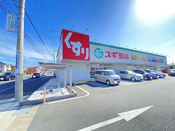 画像27:【ドラッグストア】スギ薬局　豊川野口店まで339ｍ