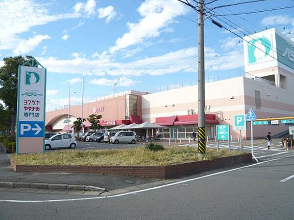 画像19:【スーパー】ヤマナカ　パディー店まで656ｍ