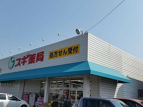 画像19:スギ薬局　高横須賀店まで1144m