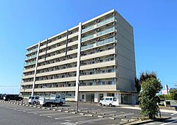 テルミオ常滑