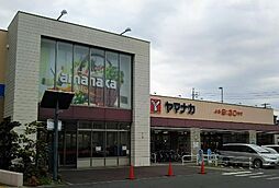 グレイス　カンパーニュ