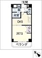 STARRYPLACE8階6.6万円