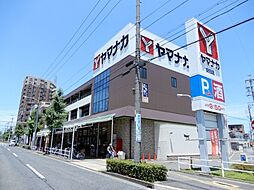 【スーパー】ヤマナカ　安田店まで924ｍ