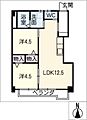 ウィルハウス桜山5階6.7万円