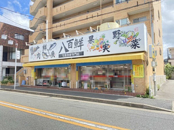 画像24:【スーパー】生鮮食材専門店　八百鮮　川原通店まで287ｍ