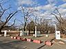 周辺：広々とした芝生が魅力、四季を感じられる県営公園