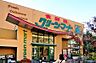 周辺：グリーンマート 東四ツ木店