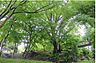 周辺：雀宮公園