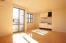 ミナミハイツフラワーII 00201