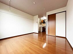 サウスパークハイム 00205 2階ワンルームの室内