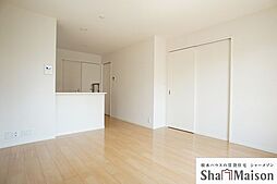 マイヨ・ベール　Ｂ 00101