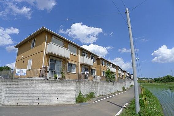 パストラル1_その他_4