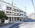 Ｒａｆｆｉｎｅ　Ｉｔａｂａｓｈｉ