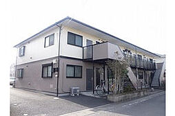 マリーゴールド 0102