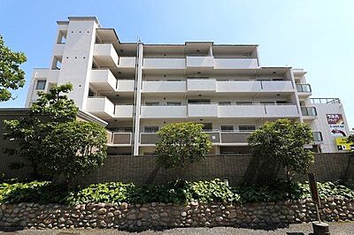 外観 外観