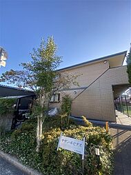 サザン・ルピナス