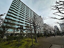 越中島三丁目ハイツ1号棟 0801