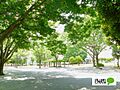 公園「天王台西...
