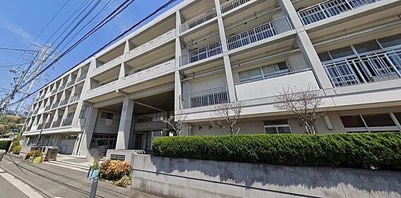 役所「横浜市神...